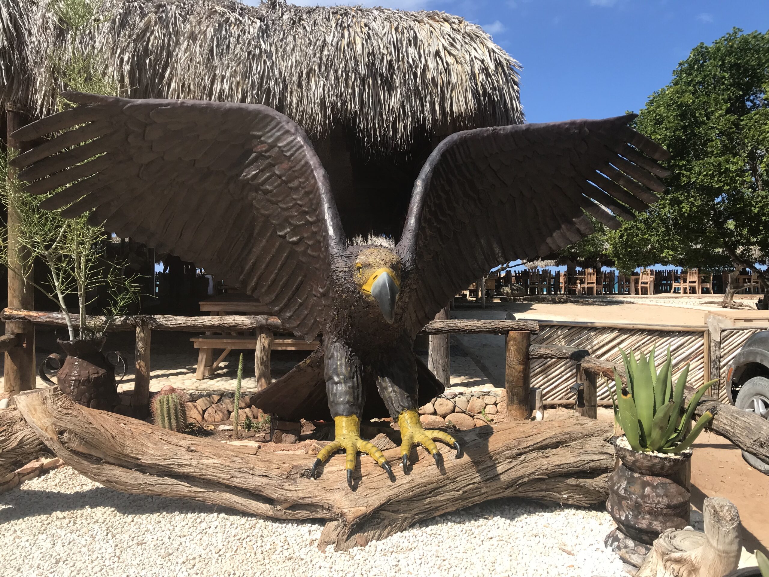 DOMINICAN SOUTHWEST ECO ESCAPE