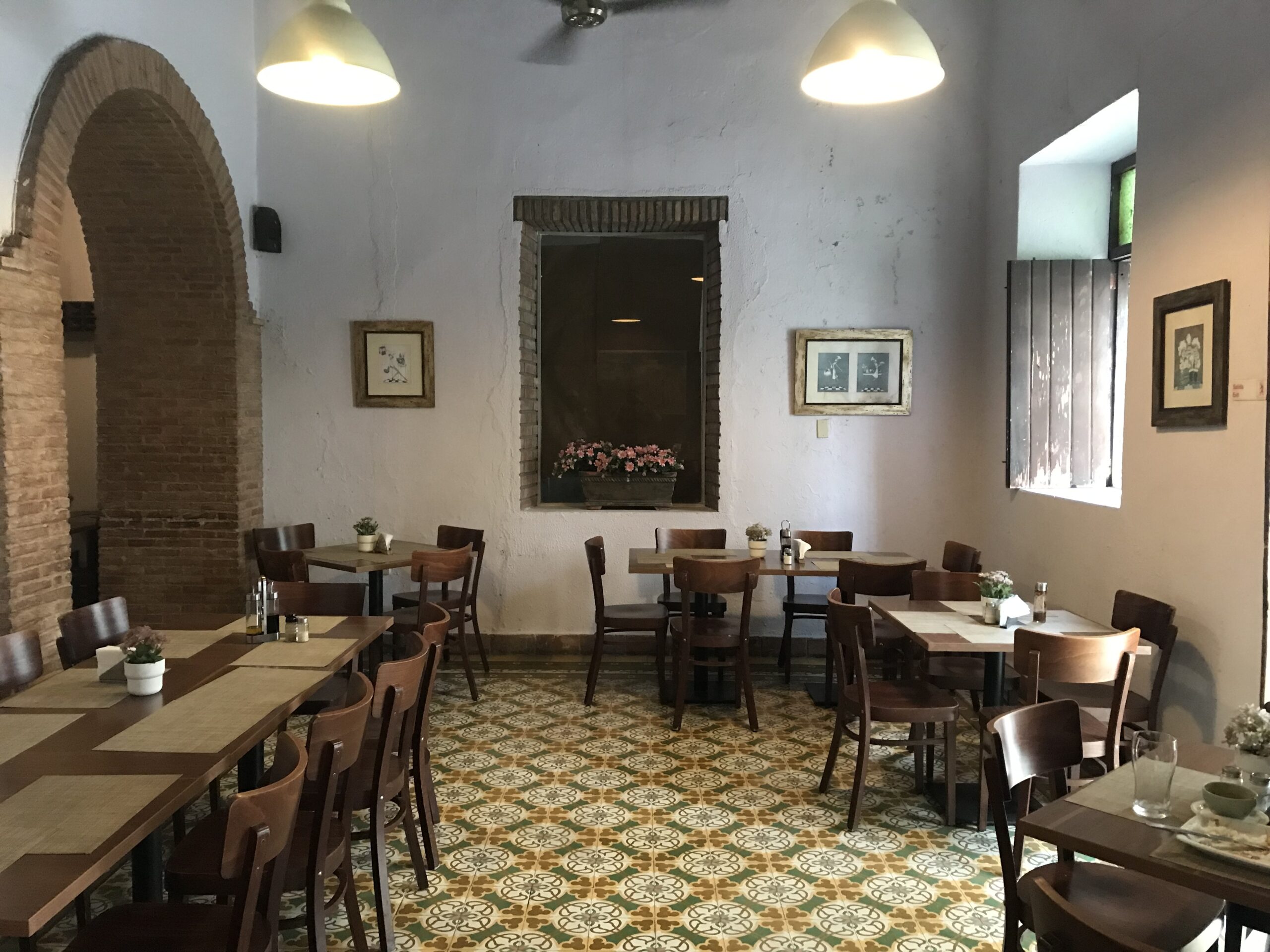 A GADABOUT TROPICAL EXPERIENCE