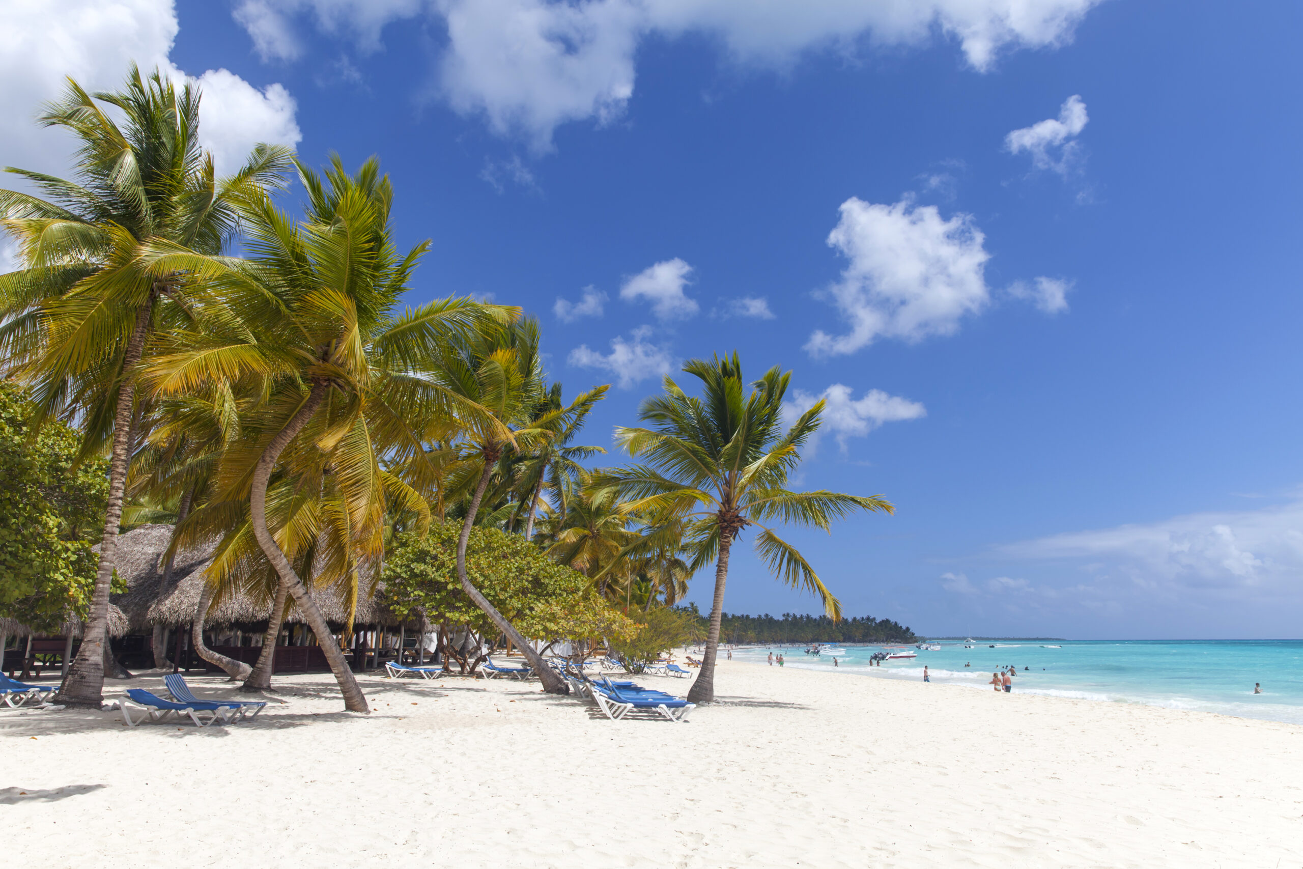 A GADABOUT TROPICAL EXPERIENCE
