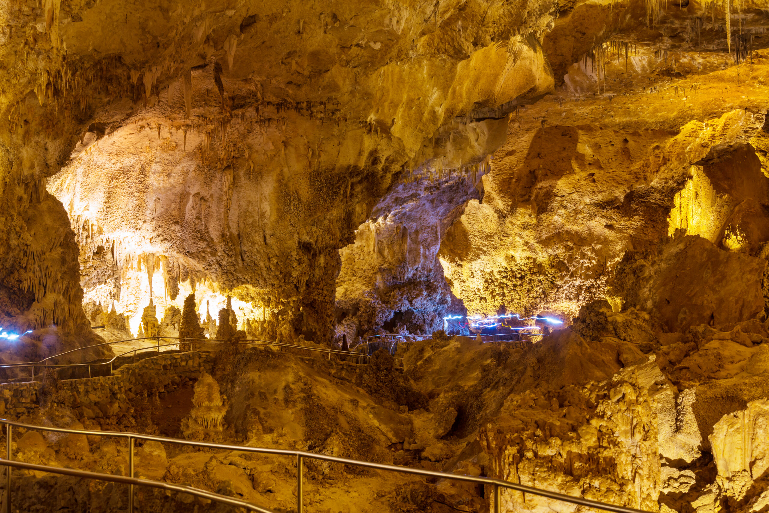 DIVERSE DOMINICAN IMMERSION