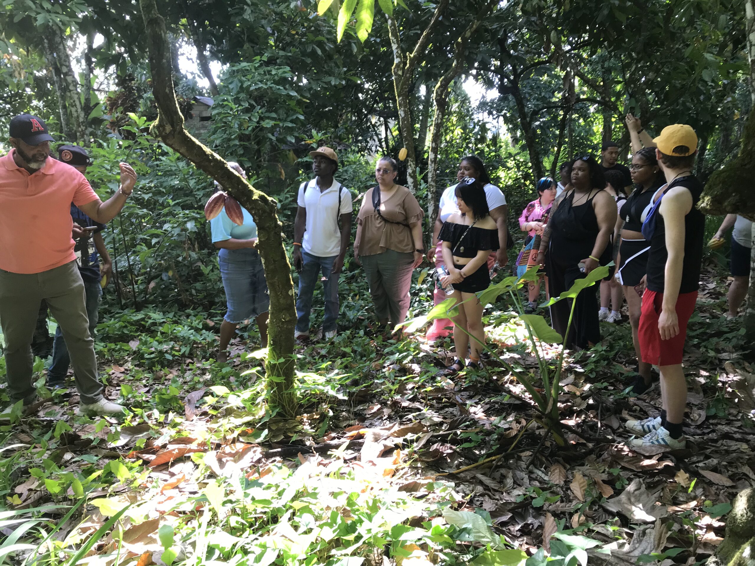 DOMINICAN SOCIAL & CULTURAL AWARENESS