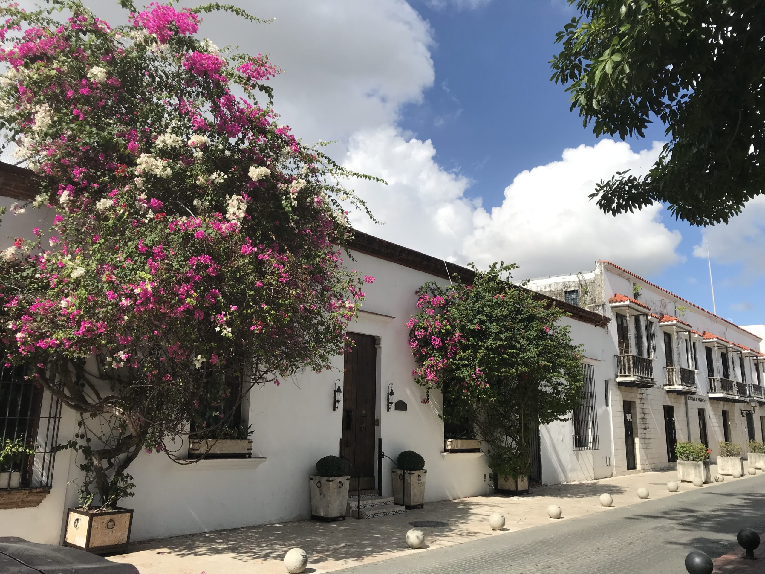 ESSENTIAL DOMINICAN EXPLORER