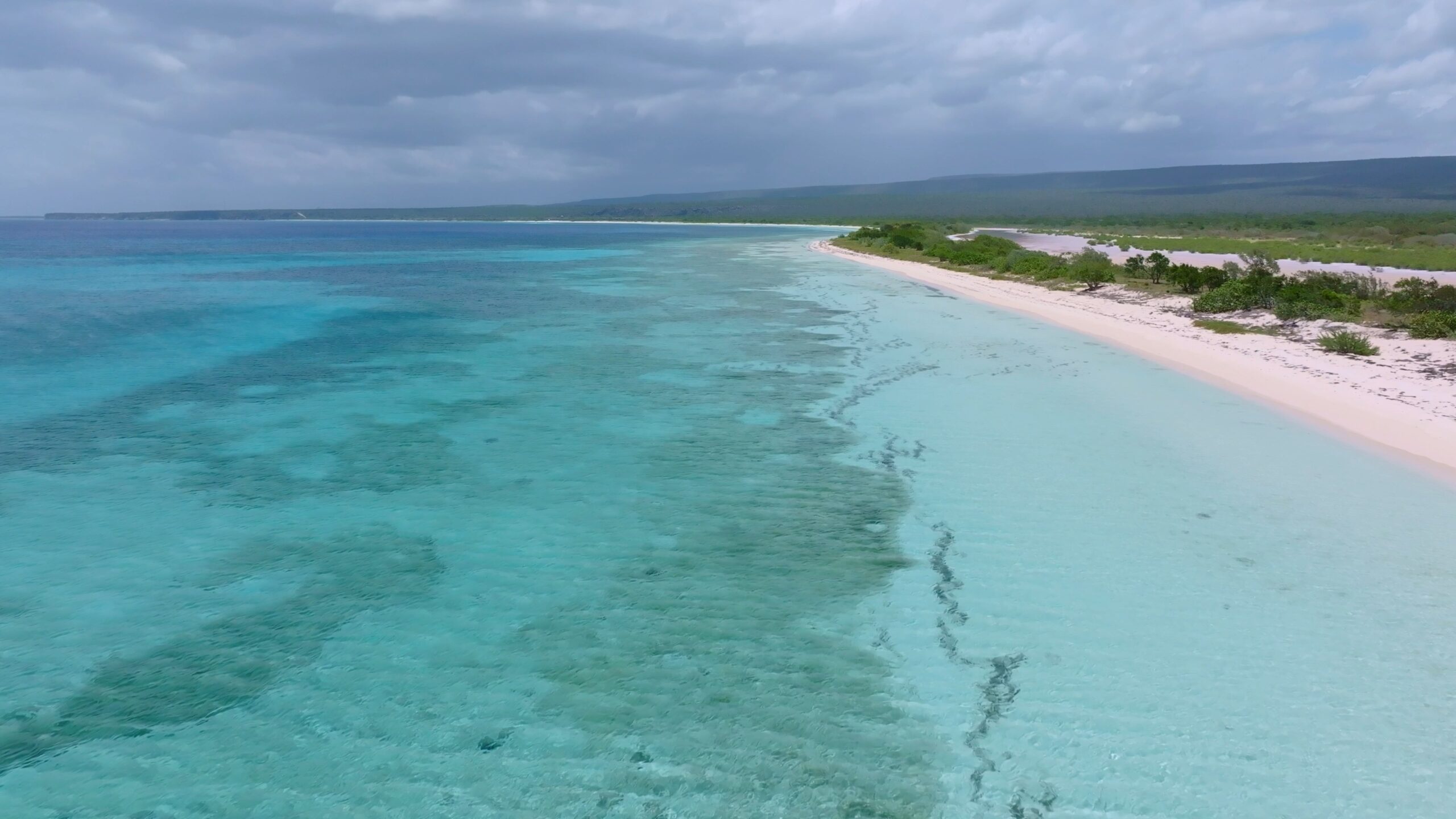 DOMINICAN EAST-WEST EXPEDITION