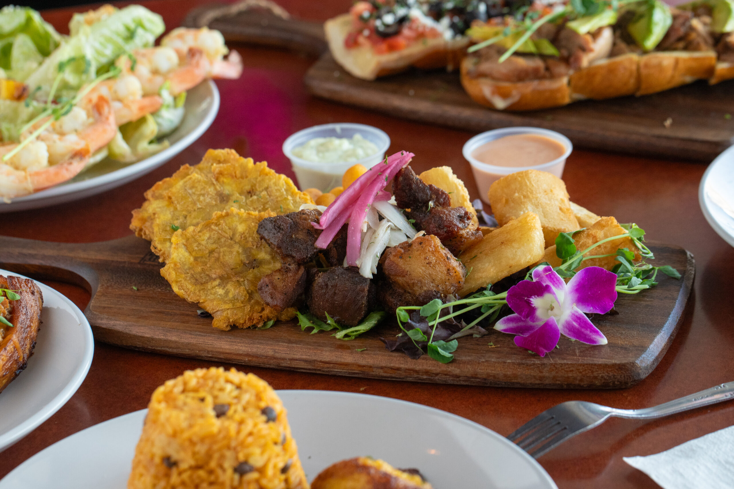 ESSENTIAL DOMINICAN EXPLORER