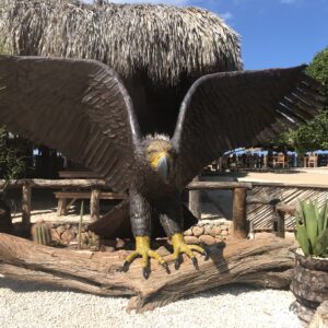 Travel Dominican Republic with purpose. Dominican Southwest Eco Escape genuine tour.