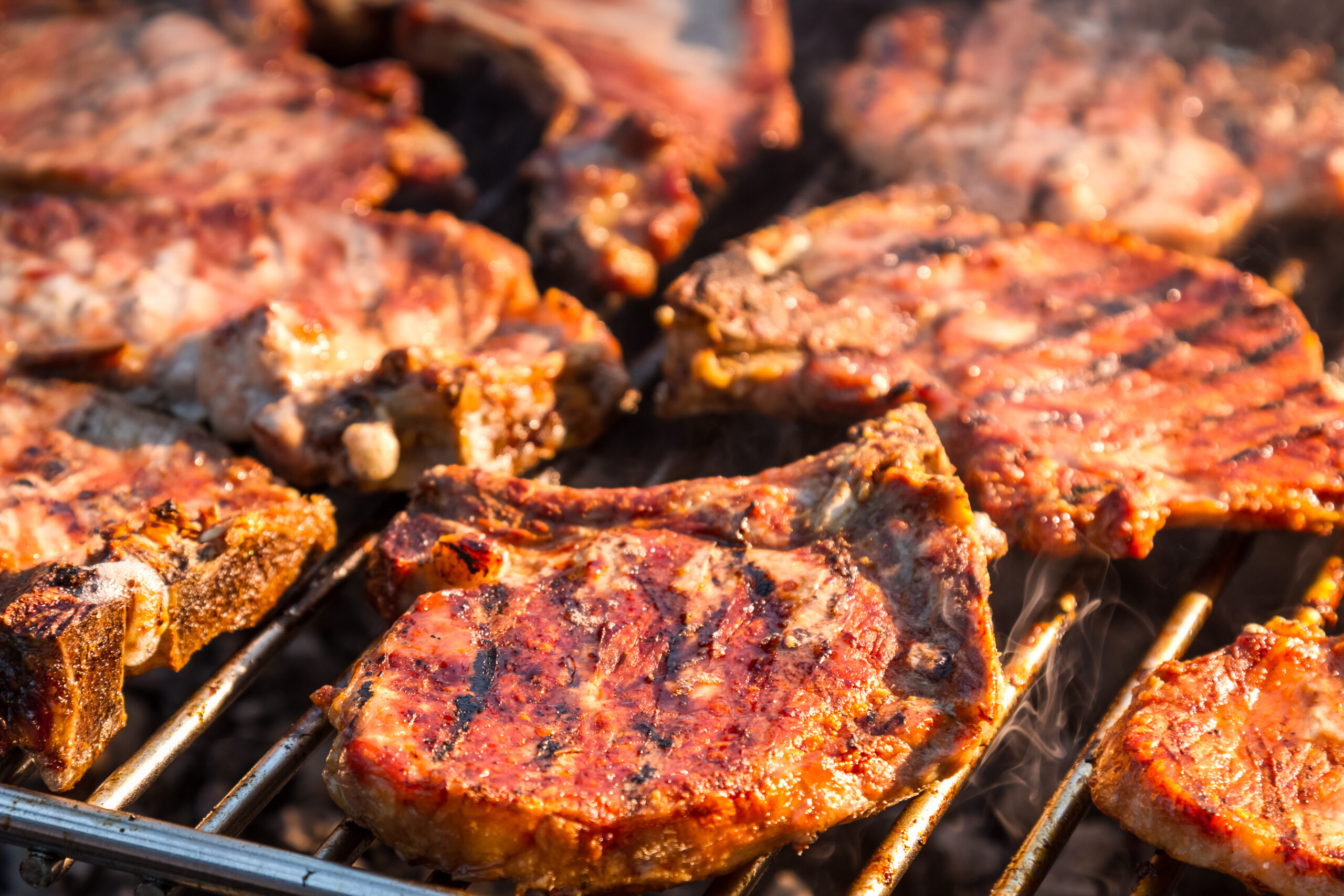 ESSENTIAL DOMINICAN EXPLORER