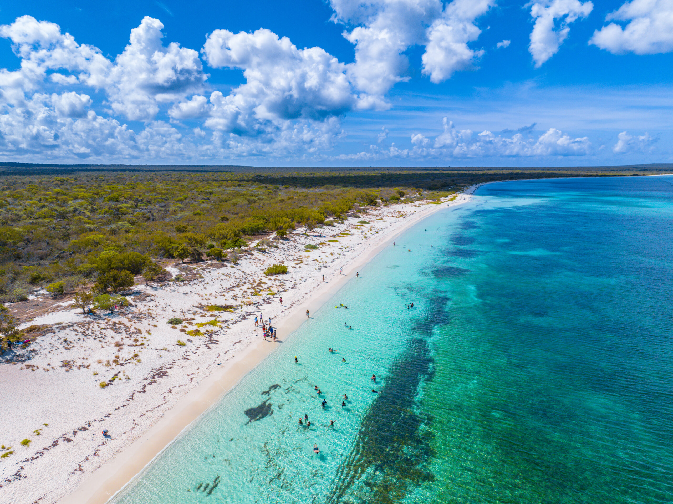 DOMINICAN EAST-WEST EXPEDITION