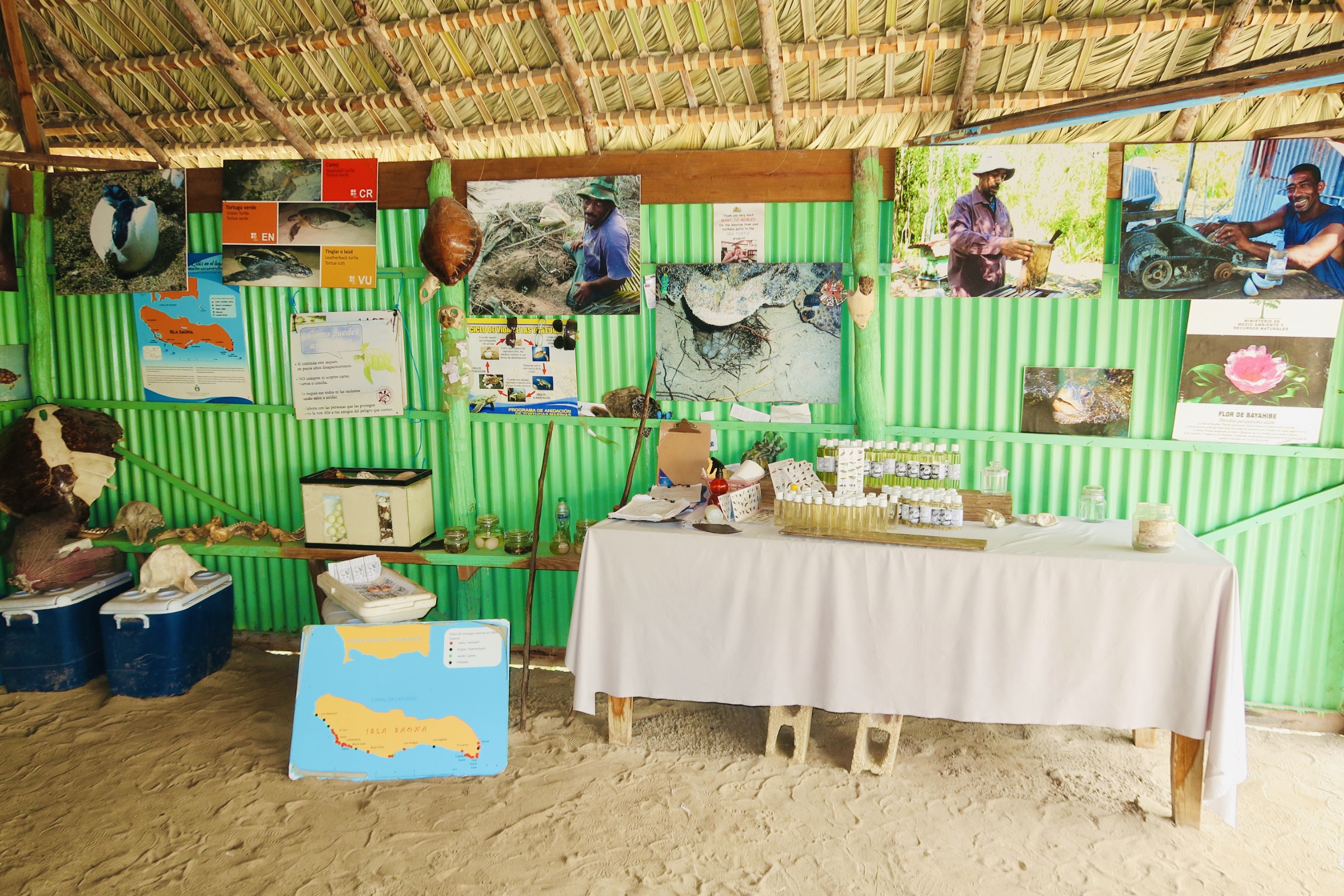 DOMINICAN COASTAL ECOSYSTEMS STUDIES