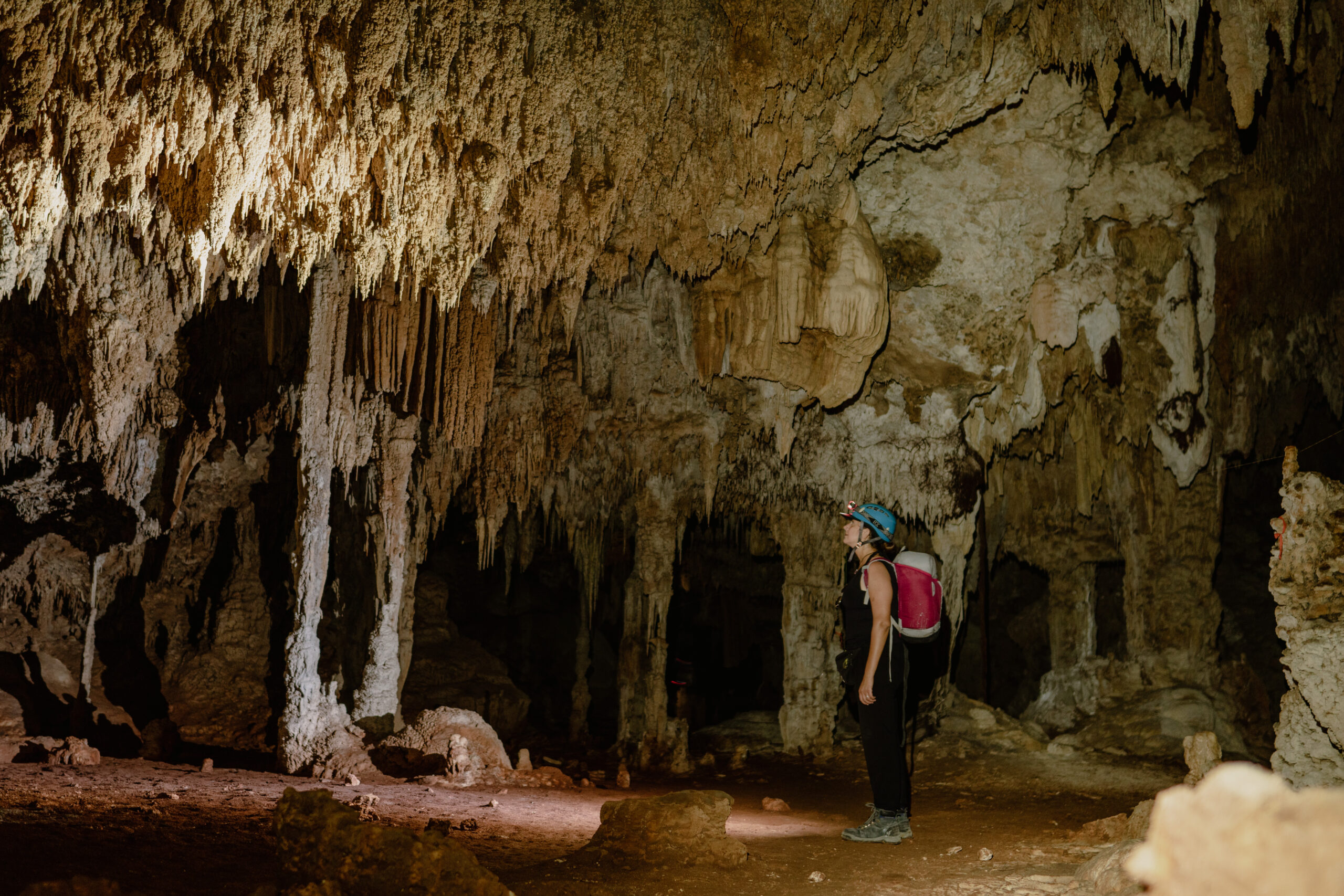 DIVERSE DOMINICAN IMMERSION