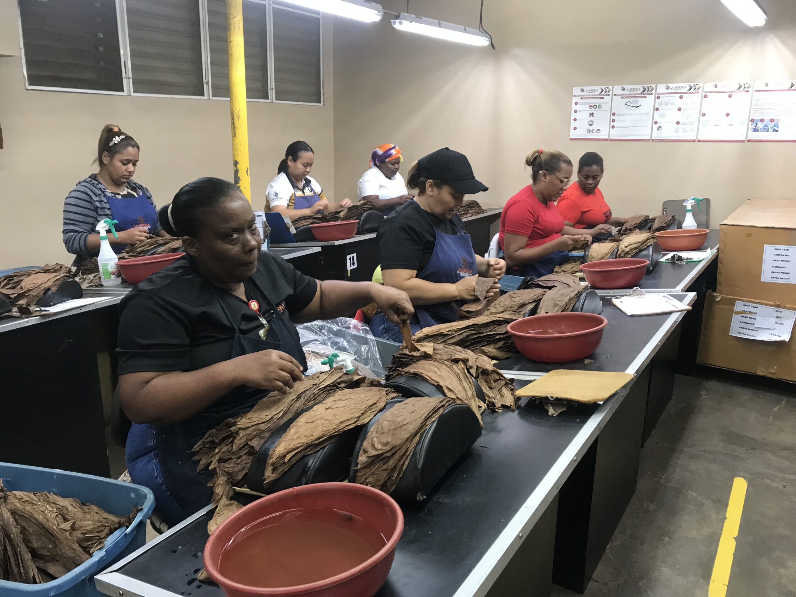 PERIPATETIC DOMINICAN GETAWAY
