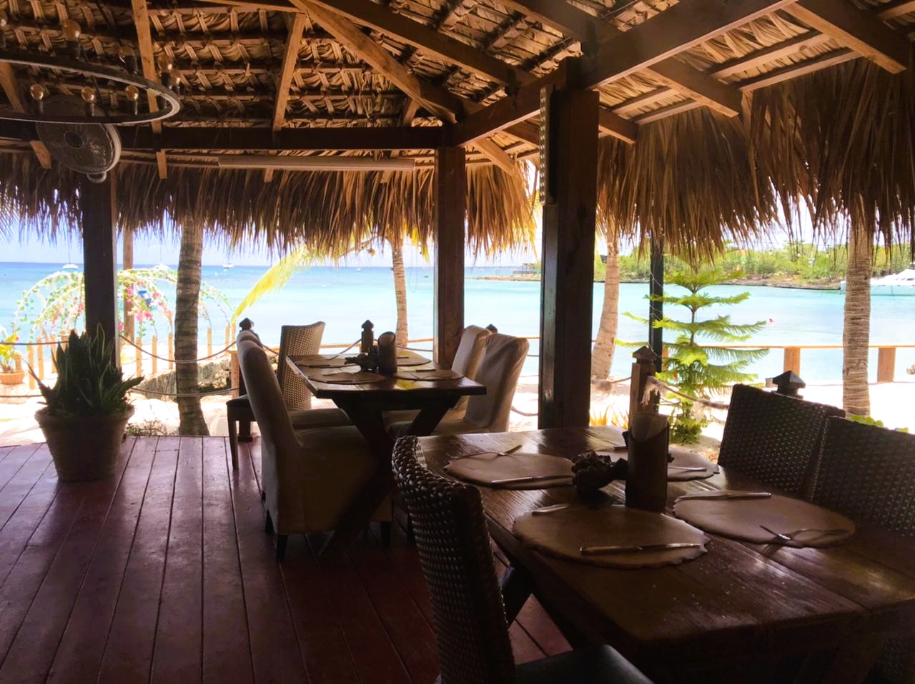 DIVERSE DOMINICAN IMMERSION