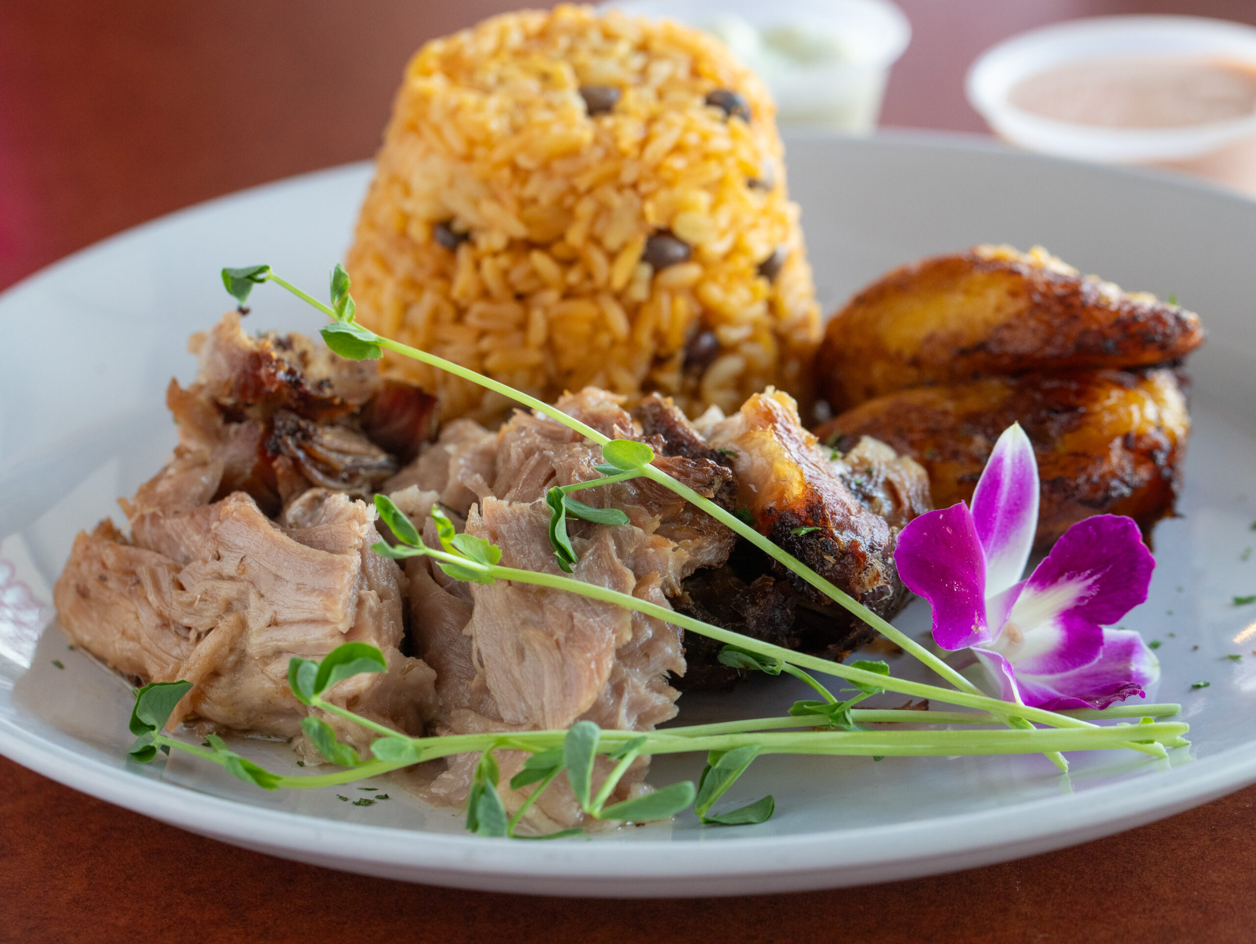 DOMINICAN EXPRESS EXPERIENCE