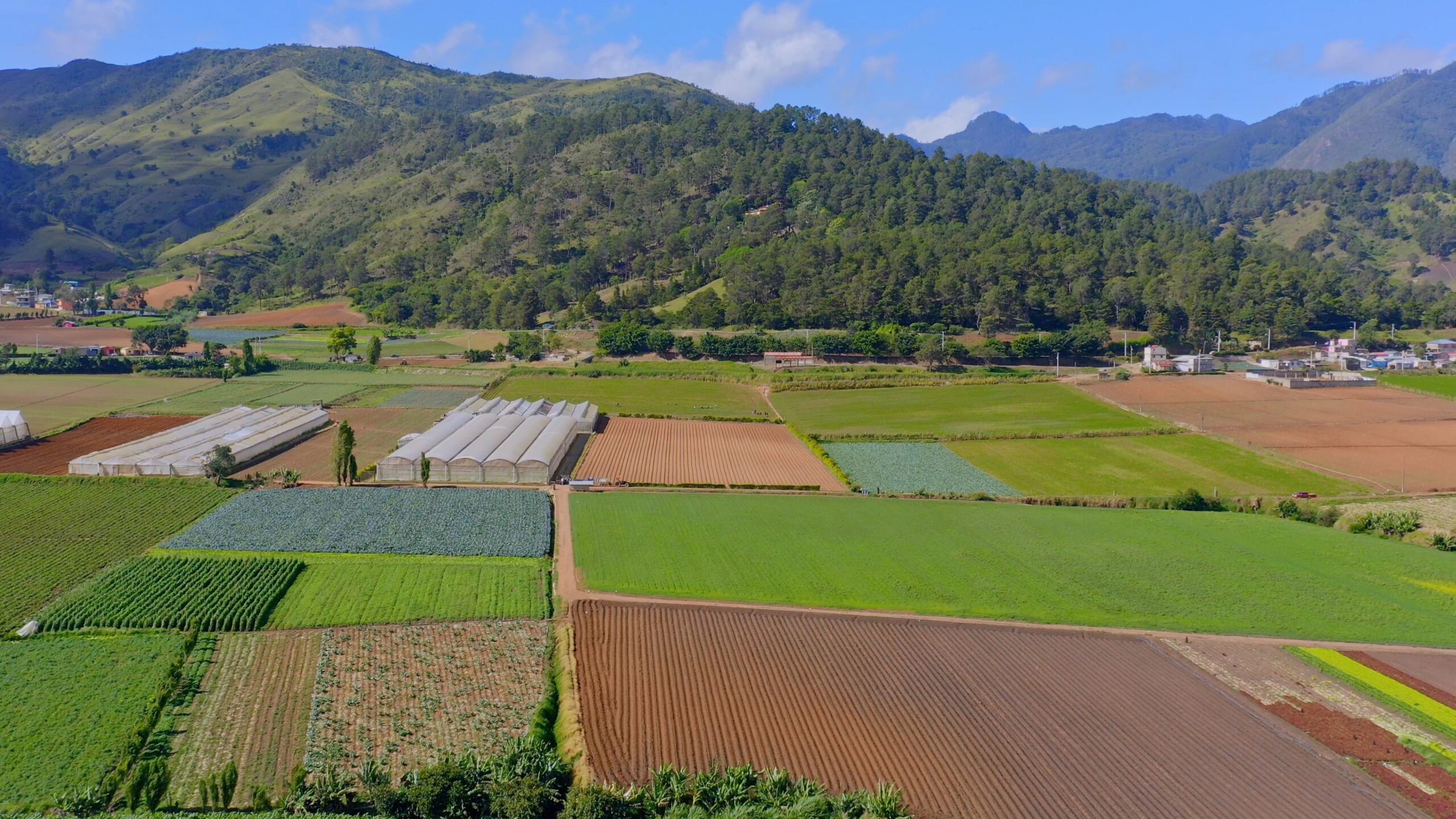 AGRO & ECO DOMINICAN STUDIES EDU PROJECT