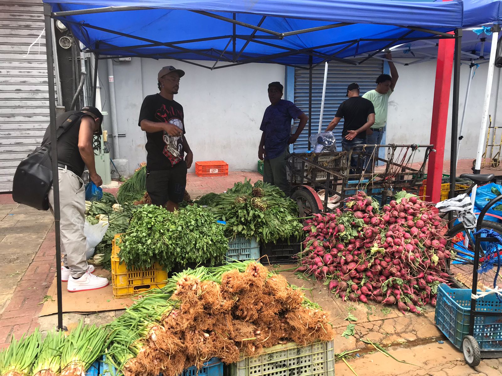 GASTRONOMIC SANTO DOMINGO PRIVATE GROUP TOUR