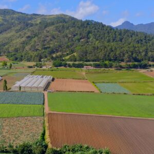 The Dominican Farming and Production Explorer - educational tour package is tailored for students studying cultivation and harvesting food crops as organic food farming and biodiversity methods.