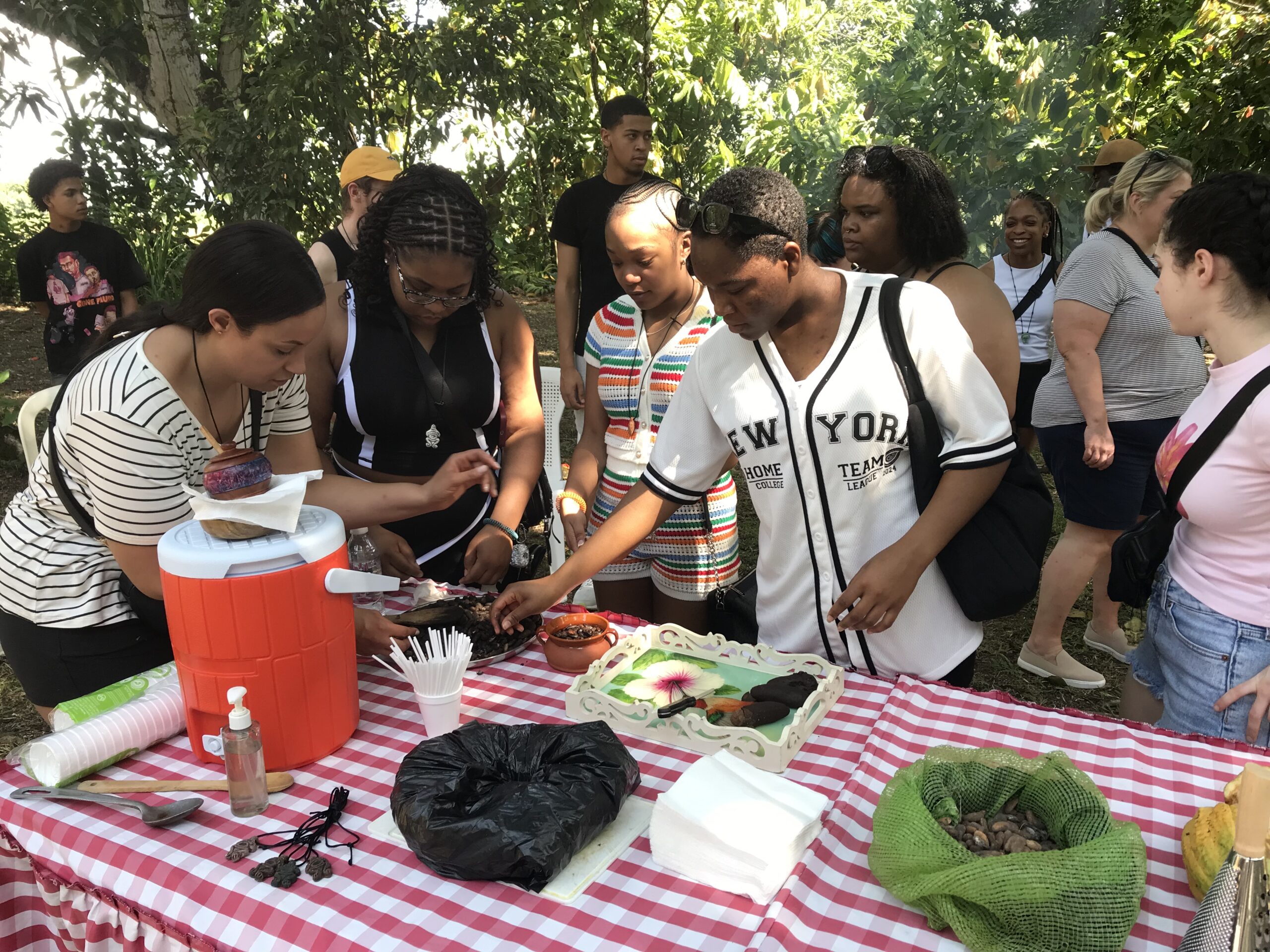 DOMINICAN SOCIAL & CULTURAL AWARENESS STUDIES EDU PROJECT