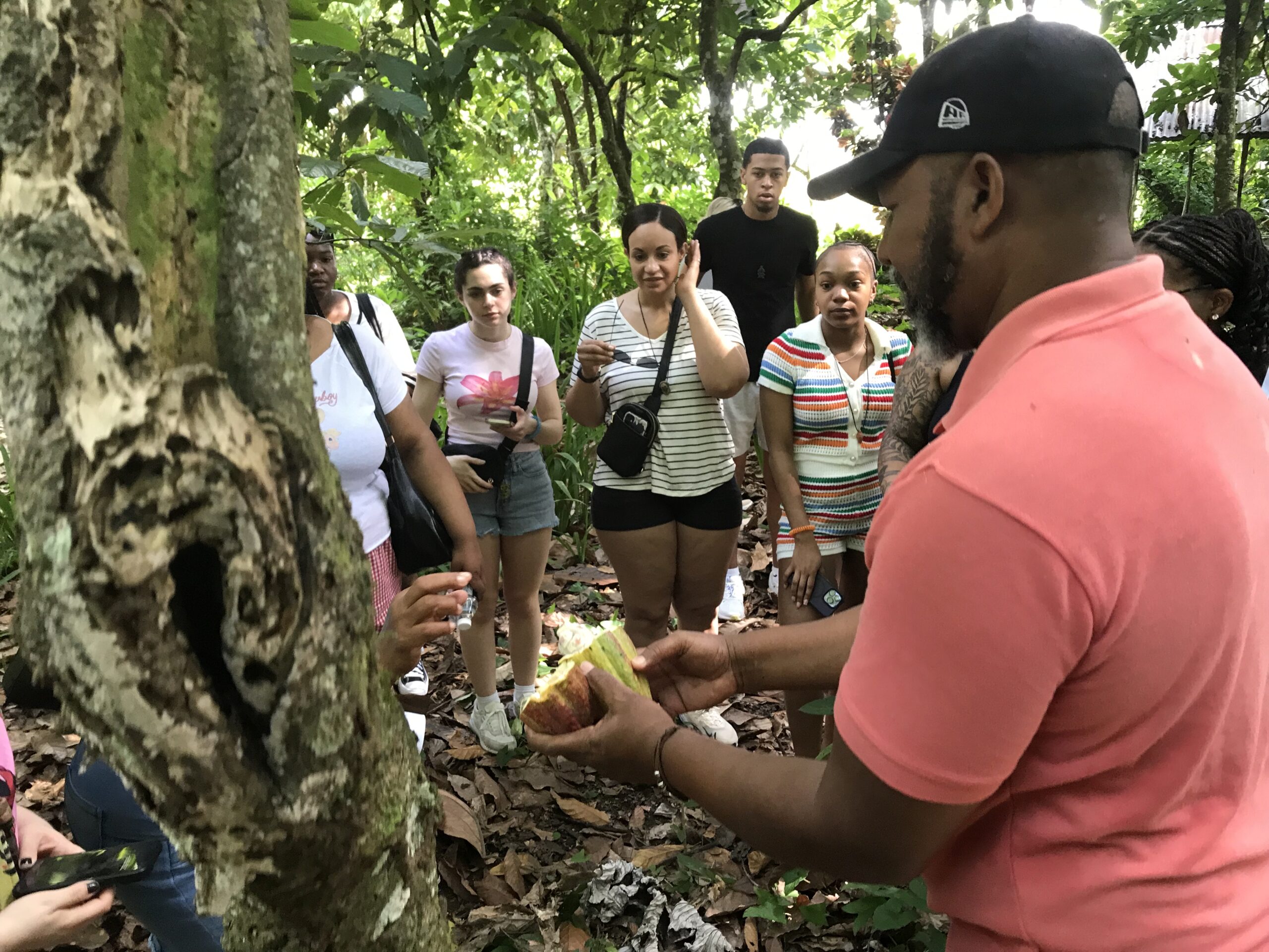DOMINICAN SOCIAL & CULTURAL AWARENESS STUDIES EDU PROJECT