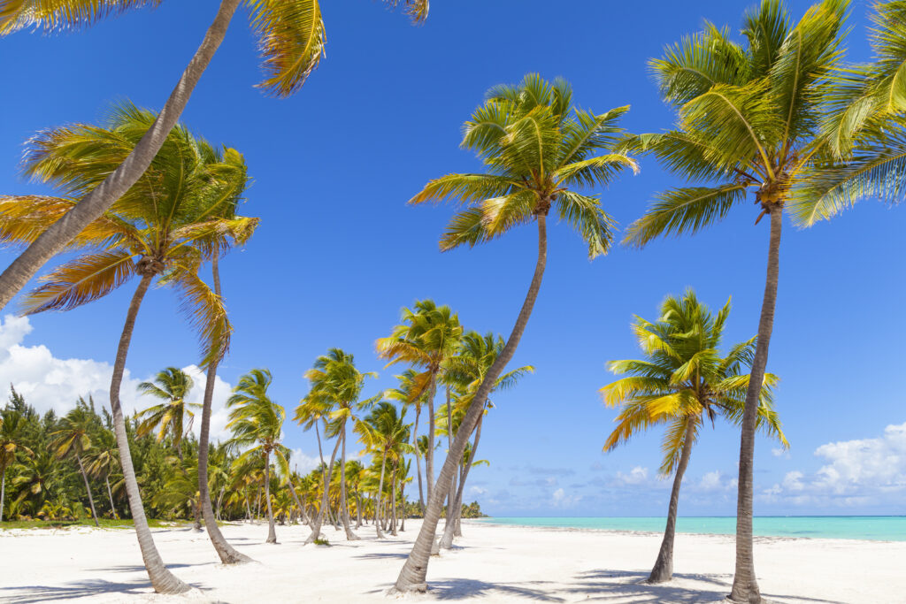 WHAT’S PUNTA CANA?